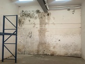 Thumb 1773687522 img 0156